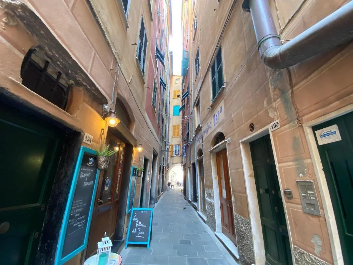 Camogli - 