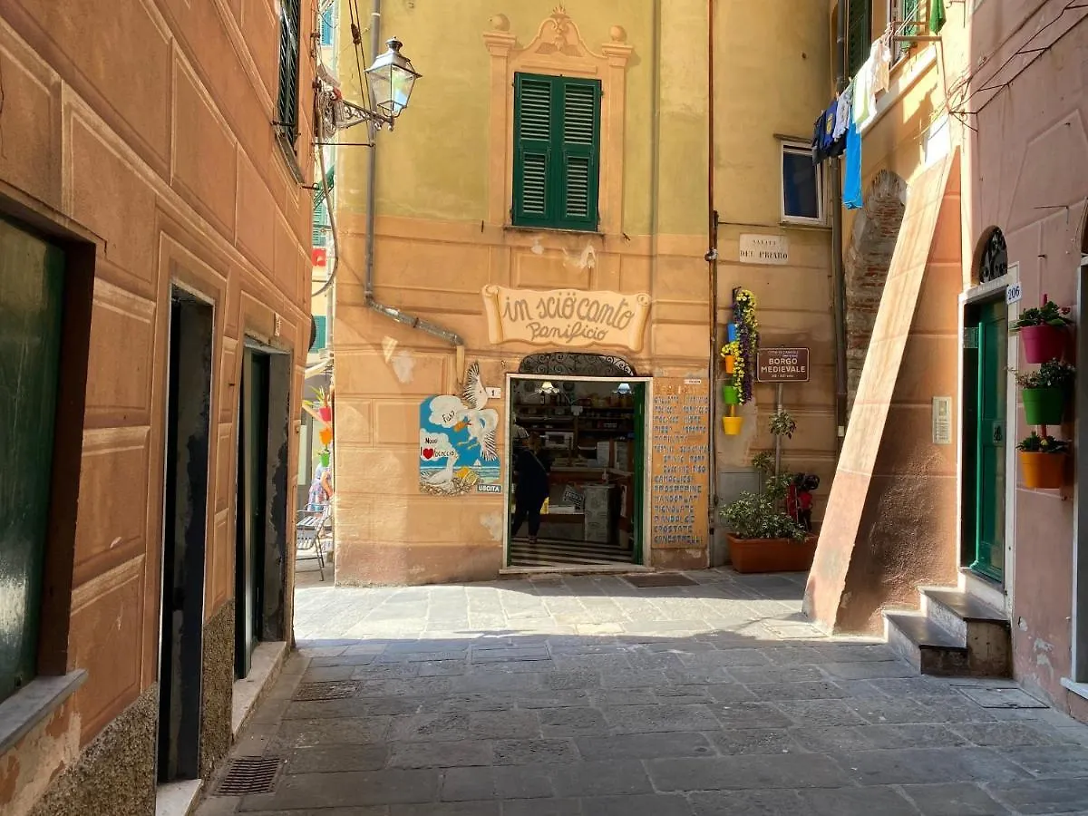 Camogli - 